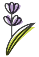 lavender leaf, ghadi